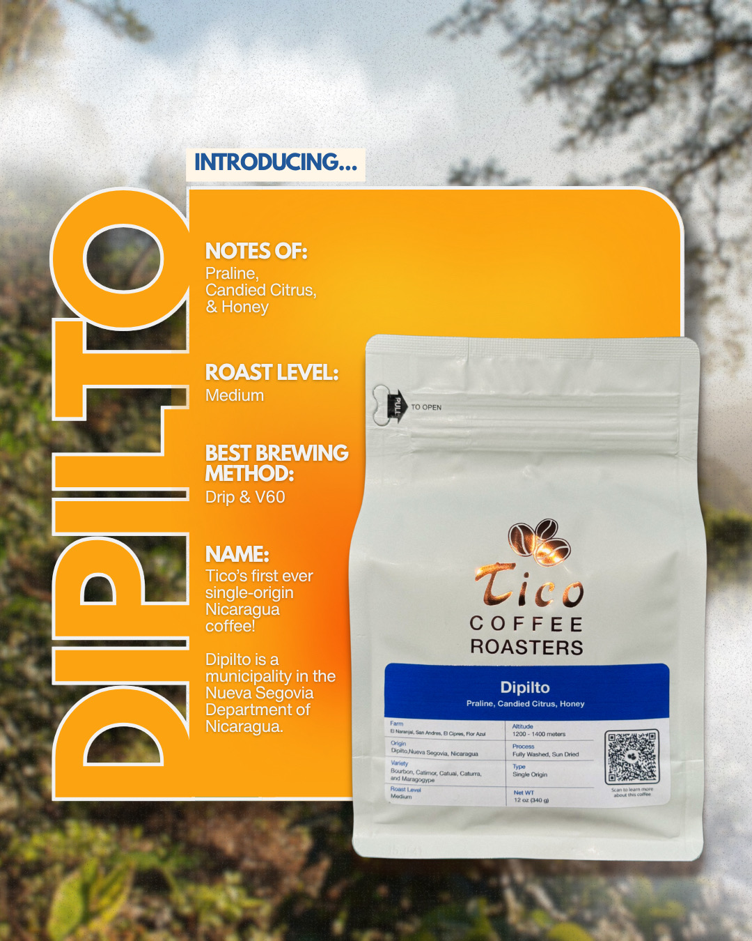 Nicaragua Dipilito